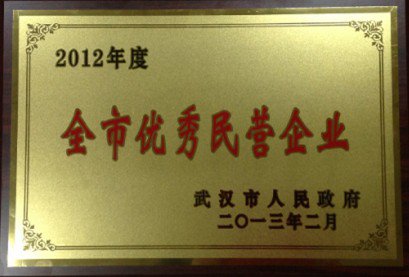 2012-全市優秀民營企業